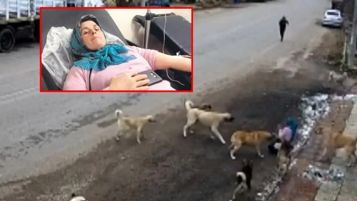 Konya'da köpeklerin saldırısına uğrayan Tuğba Biçer: Dışarı çıkamaz oldum!